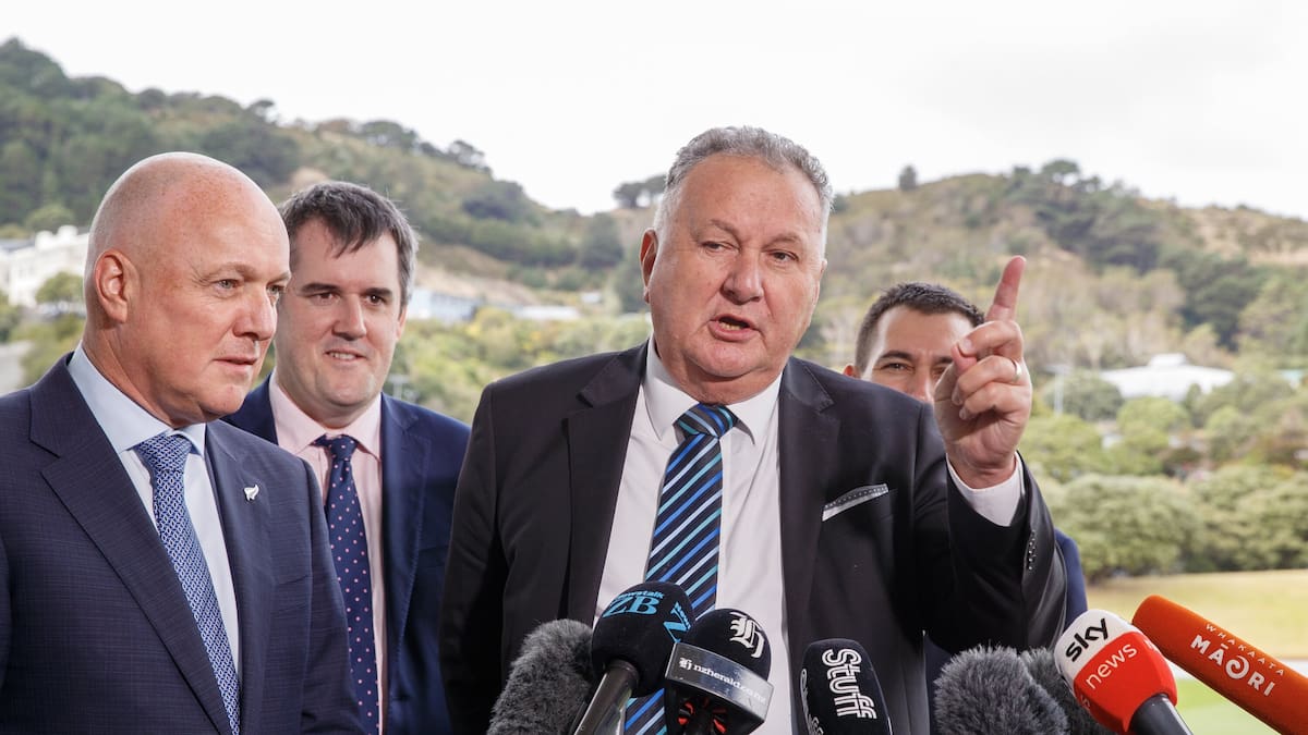 Shane Jones says Kaitāia mill owners never asked for Government help amid confusion, fears over operation’s future