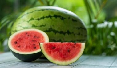 Stay cool this summer: 5 light foods for hot weather nutrition