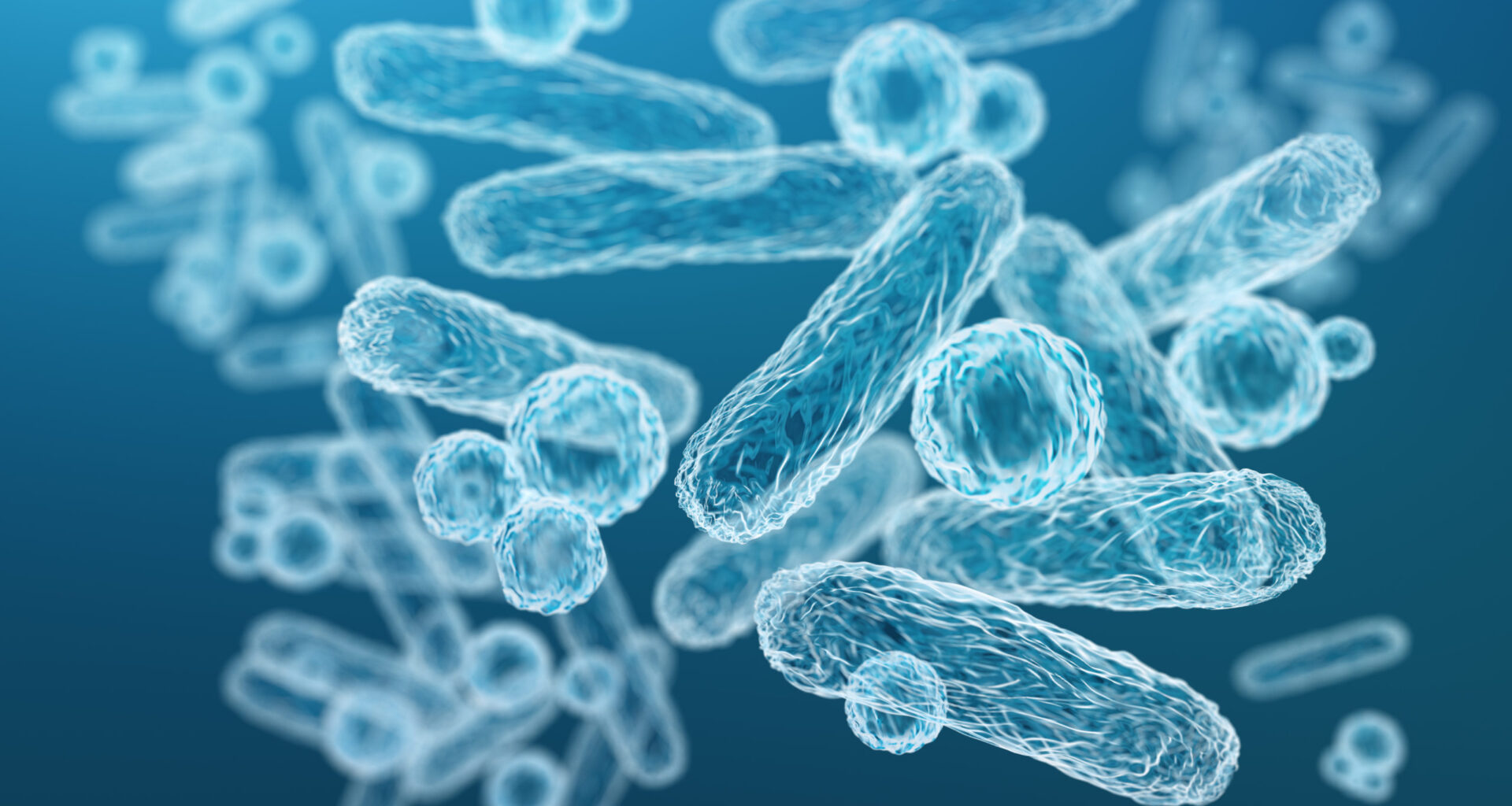 Bacteria ‘Rewire’ Epithelial Cells and Drive Disease in the Gut