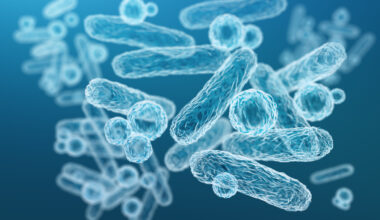 Bacteria ‘Rewire’ Epithelial Cells and Drive Disease in the Gut
