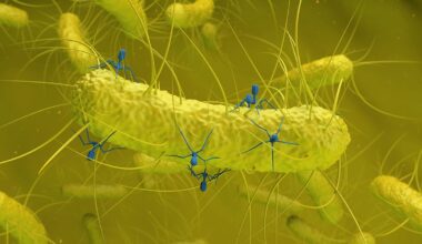 A Hidden Virus Found in Gut Bacteria Is Linked to Colorectal Cancer : ScienceAlert