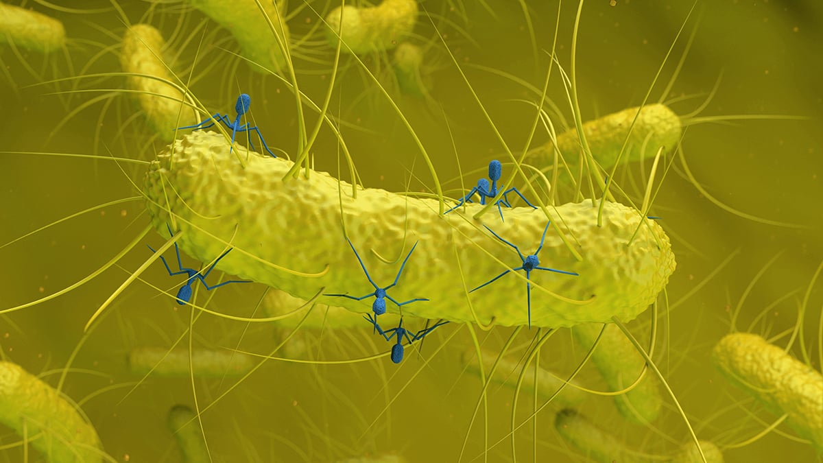 A Hidden Virus Found in Gut Bacteria Is Linked to Colorectal Cancer : ScienceAlert