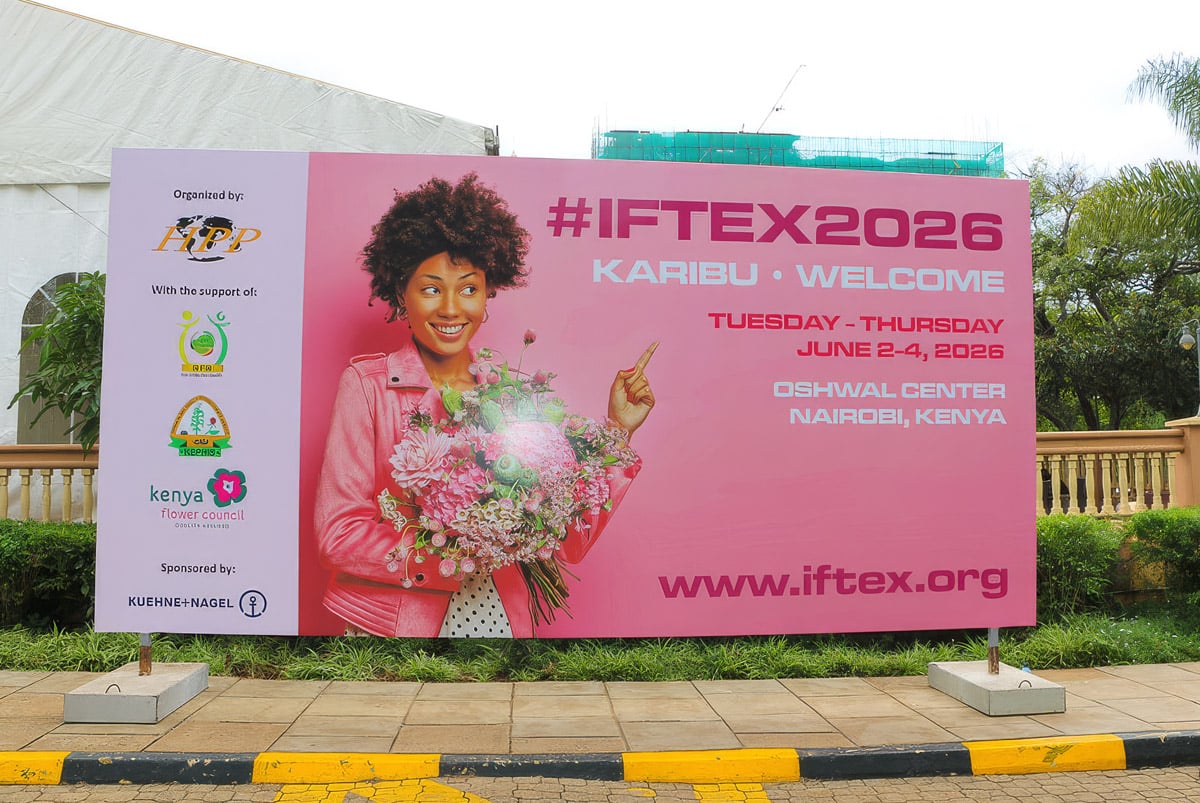 Beatrice Cheruon IFTEX 2026 billboard