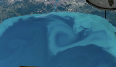 Black Sea NASA