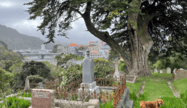 The past haunts Wellington’s Mount Victoria tunnel, but it also stalks the urban motorway