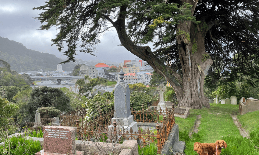 The past haunts Wellington’s Mount Victoria tunnel, but it also stalks the urban motorway