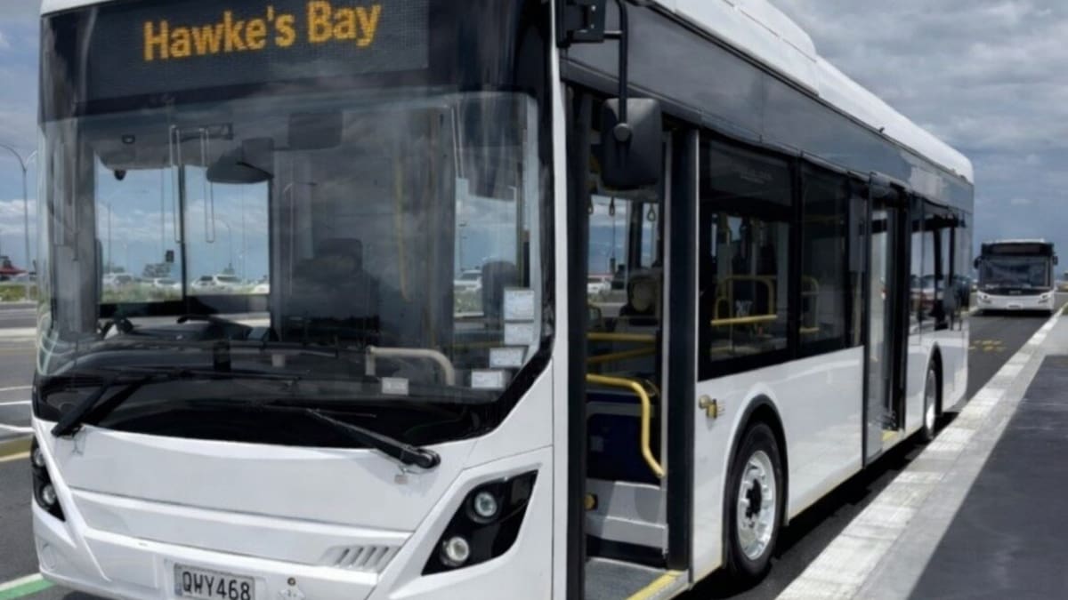 Electric bus fleet coming as Go Bus loses Hawke’s Bay city routes to Tranzit