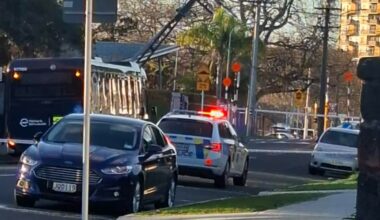 Bus crash cuts power to homes in New Lynn