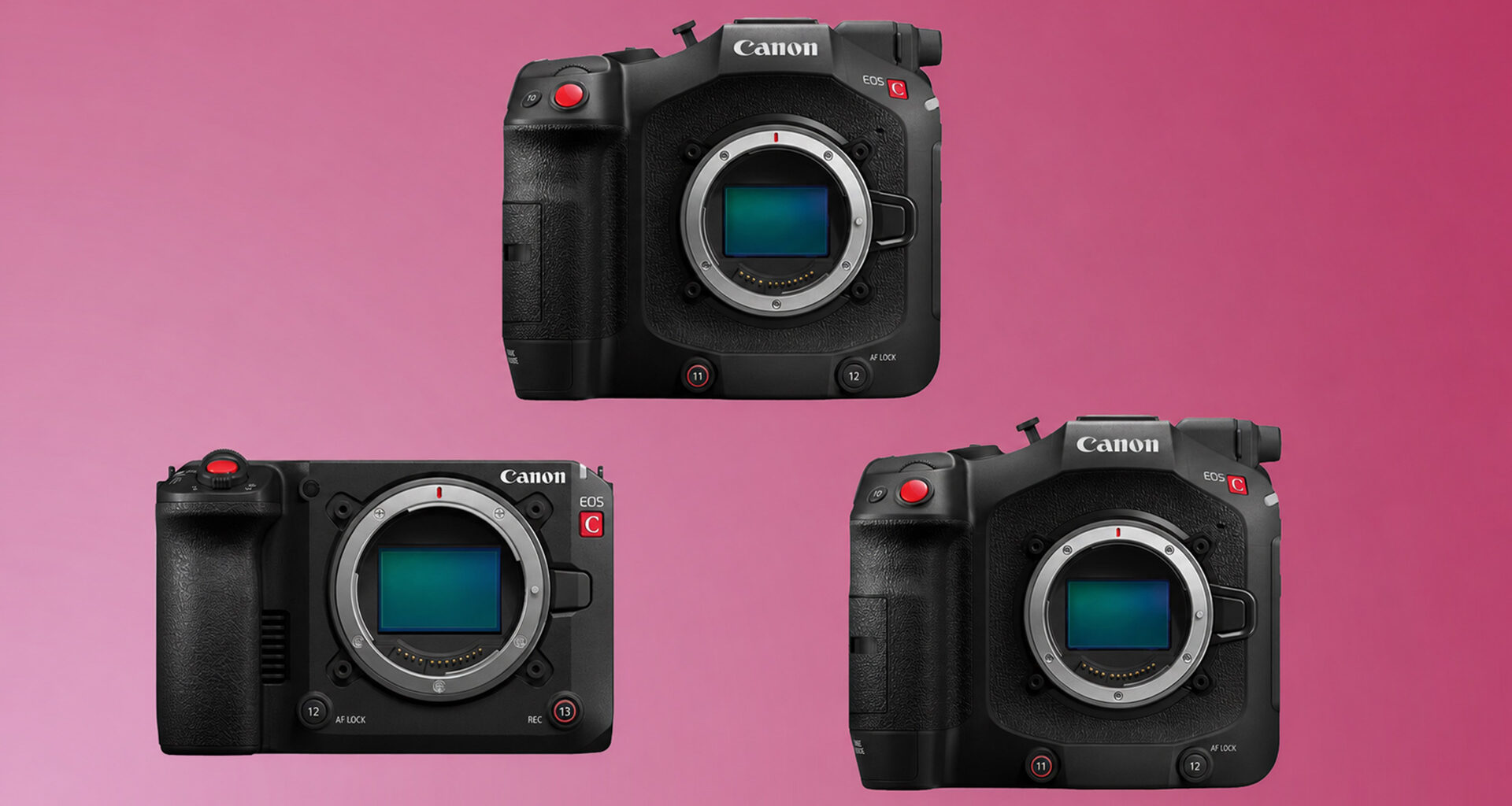 Canon EOS C50, C80, and C400 Firmware Updates Released