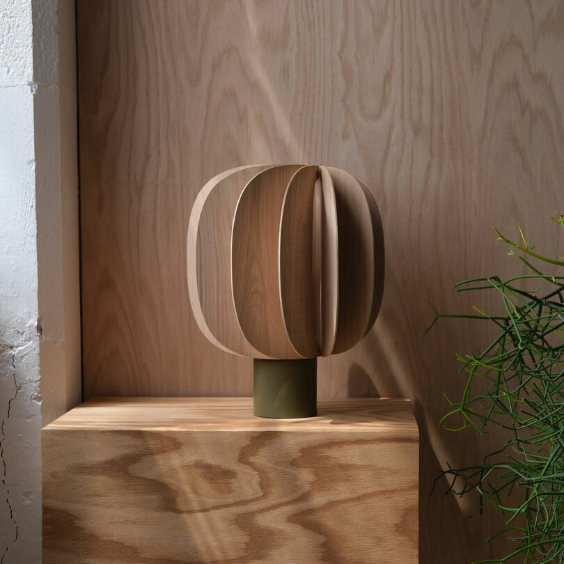 A modern wooden sculpture with curved, overlapping panels sits on a wooden pedestal against a wood-paneled wall, with a green plant partially visible on the right.