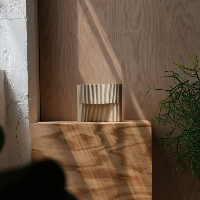 A small, pleated, beige Misewell object sits on a wooden pedestal against a wood-paneled wall, with plant leaves and sunlight casting gentle shadows.