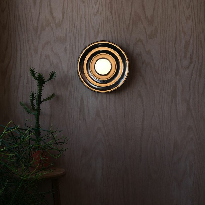 A round wall light with concentric circles is mounted on a wooden wall above a potted plant with thin, spiky branches.