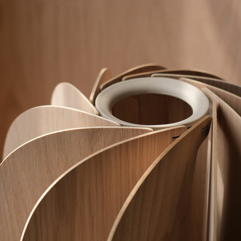 Close-up of a modern wooden object with curved, overlapping panels arranged in a circular pattern around a central ceramic ring.