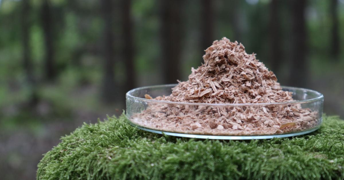Commission steps up action on EU bioeconomy