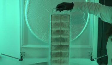 The Plan To Collect and Save the DNA of Everything on the Endangered Species List