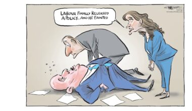 Rod Emmerson’s cartoons: Week of June 8-14