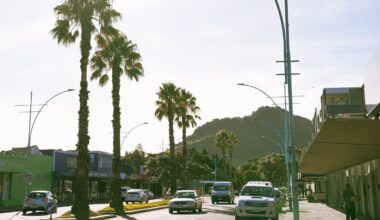 Mount Maunganui community calls for support after Mauao landslide