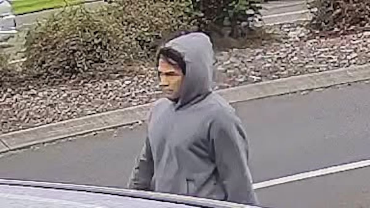 Canterbury police release images in Christchurch indecent assault investigation