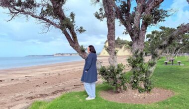 Memorial bench approved for Tyler Porter at Arkles Bay after year-long wait