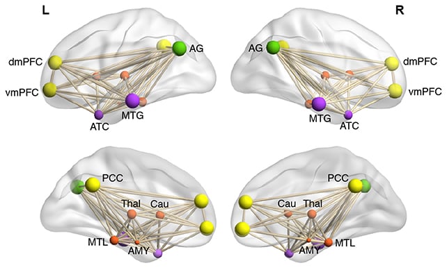 Default Mode Network