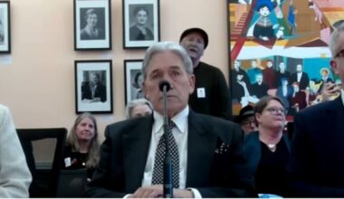 Winston Peters accosted by protesters at Parliament over Israel’s war in Gaza