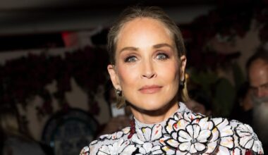 Sharon Stone on single motherhood and creating a safe space for her boys