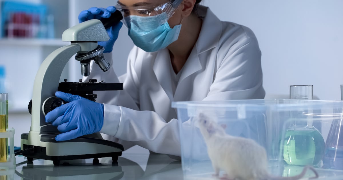 PQQ and IPQ may boost lifespan through surprising mechanisms