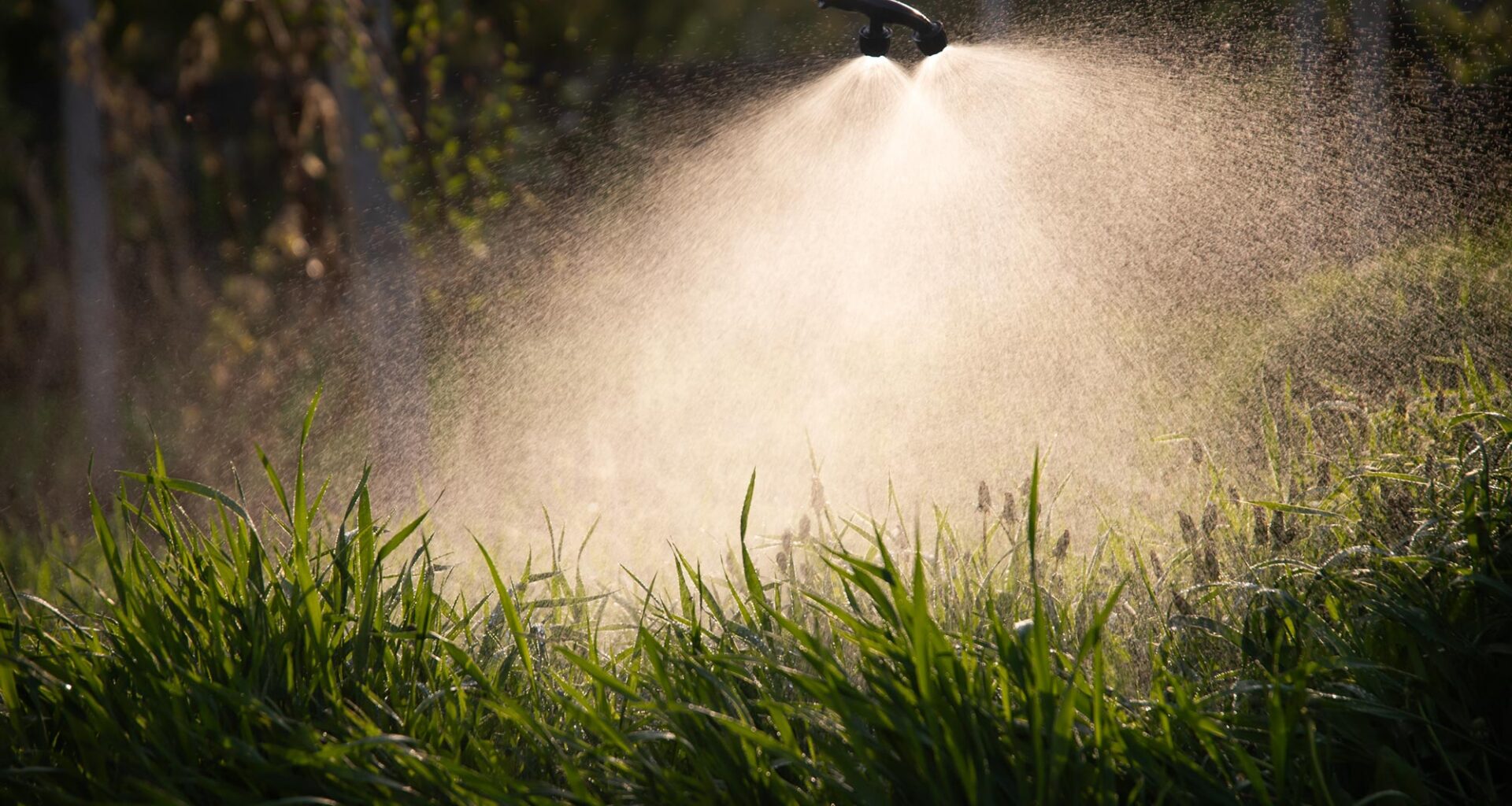 Farmer Spraying Herbicides Pesticides Insecticides