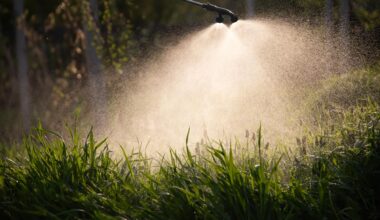 Farmer Spraying Herbicides Pesticides Insecticides