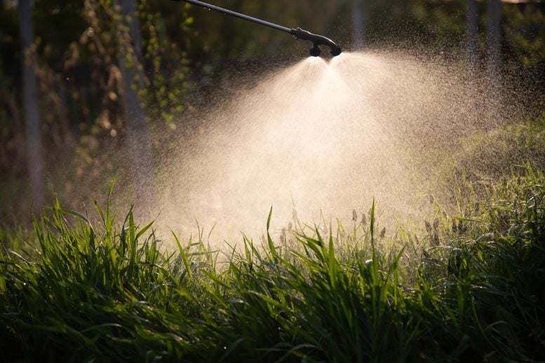 Farmer Spraying Herbicides Pesticides Insecticides