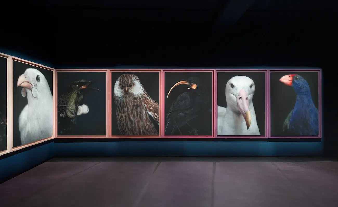 left side of gallery of bird photos
