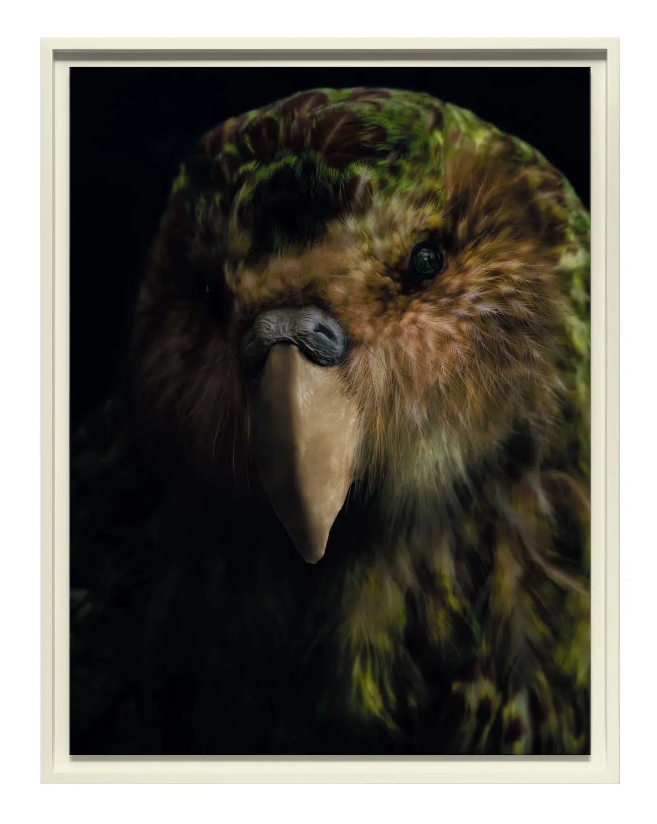 Headshot of a green bird with a small brown beak