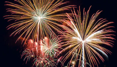 SunLive - Tauranga council debates fireworks use
