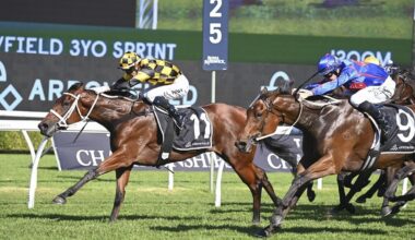 Horse racing: Joliestar: Regal consolation for Joliestar owners after being pipped at the post