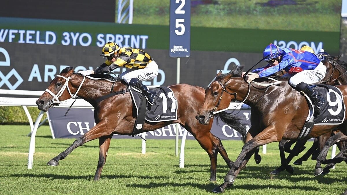 Horse racing: Joliestar: Regal consolation for Joliestar owners after being pipped at the post