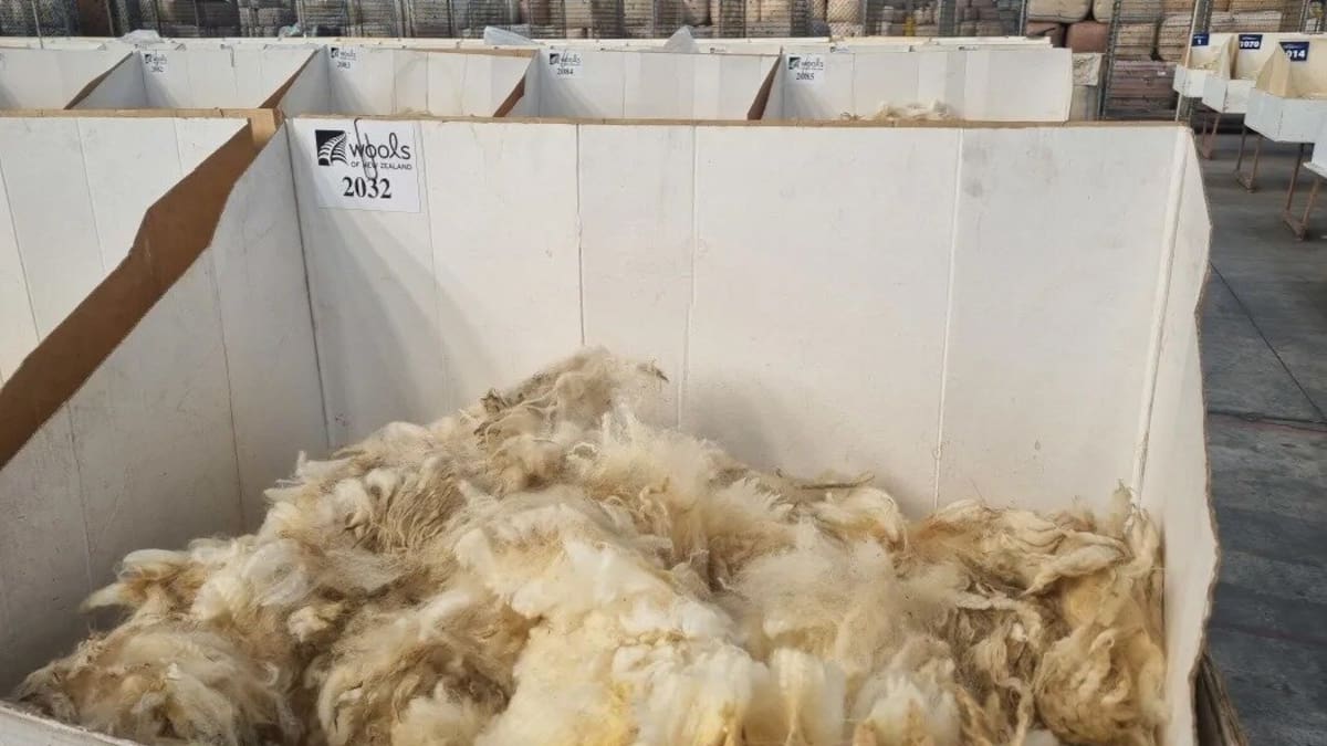 Wool prices hit 15-year high as demand and confidence surge