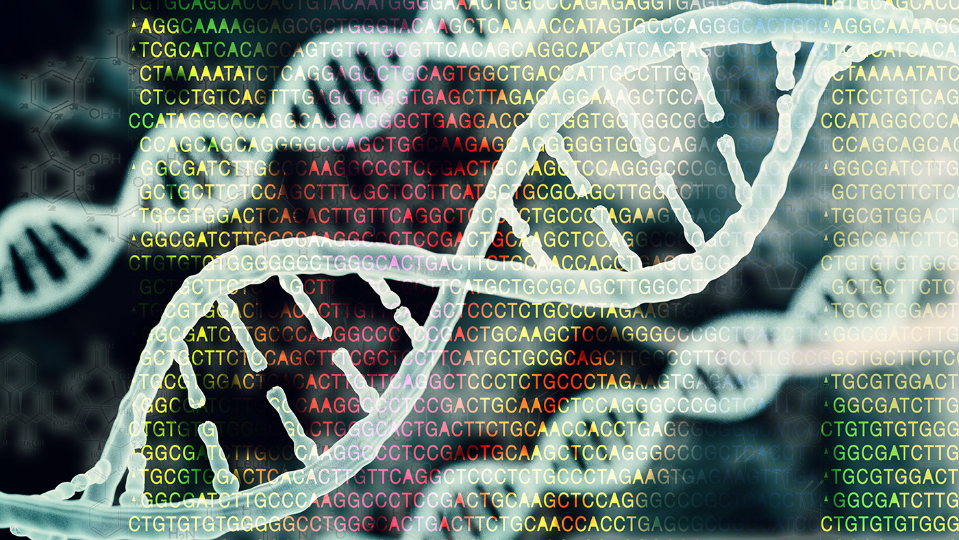 D&D‑seq Uses Base Editing to Map DNA–Protein Interactions in Single Cells