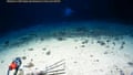 Goblin shark in the Pacific Ocean in the Tonga Trench – cinemagraph