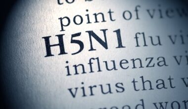 Just ten viral particles can infect cows with bird flu