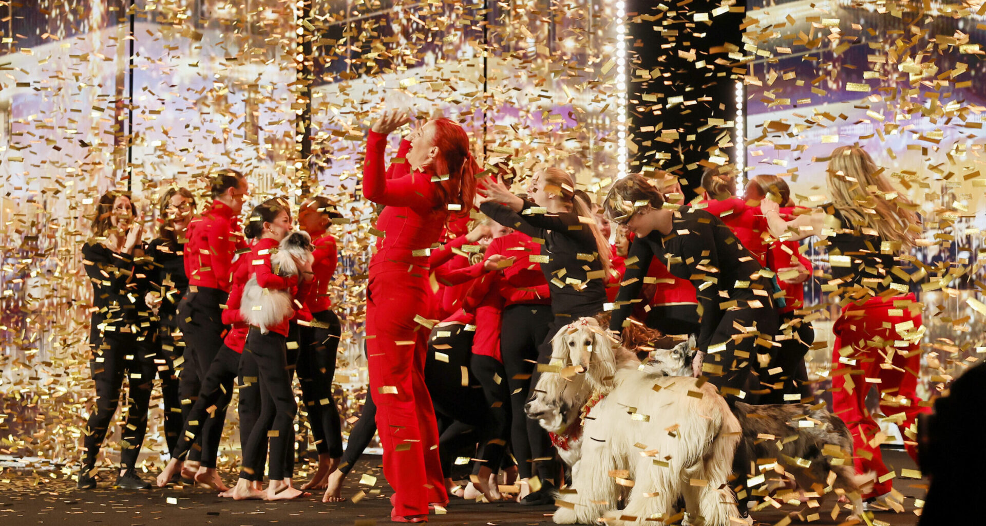 Alberta-based acro dancers and dogs get golden buzzer on America’s Got Talent