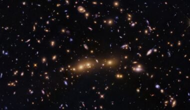 This NASA Hubble Space Telescope image features a swarm of galaxies in the galaxy cluster called CL0016+1609 or MACS J0018.5+1626. Credit: NASA/ESA/STScI/H. Ebeling/D. Coe/G. Kober