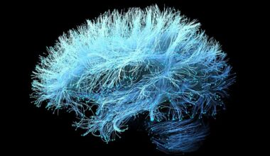 A Supplement For Joint Pain Could Accelerate Alzheimer's Memory Loss : ScienceAlert