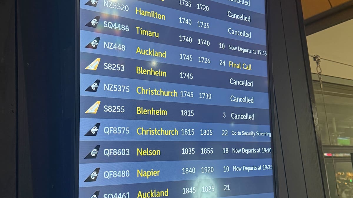 Wellington Airport flights cancelled as bad weather disrupts travel