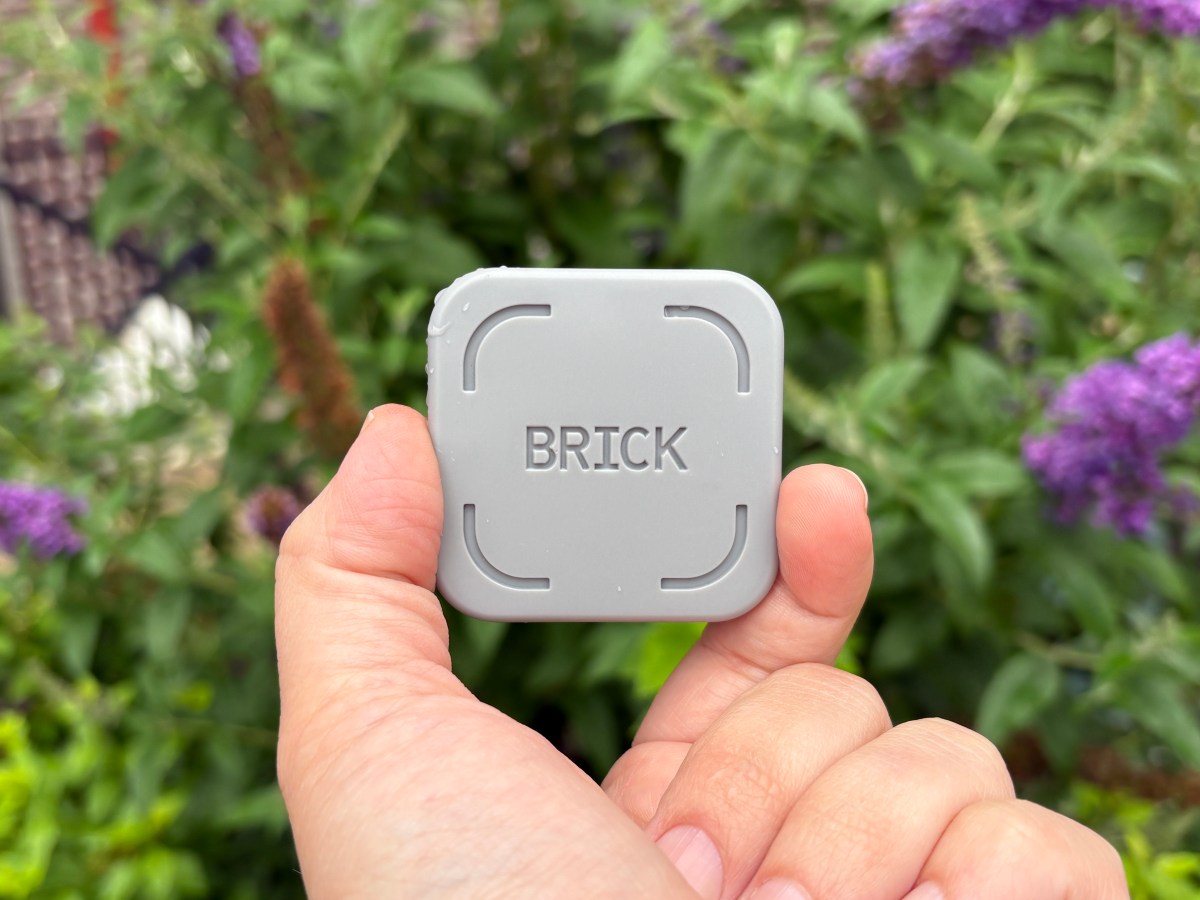 a Brick held between thumb and forefinger