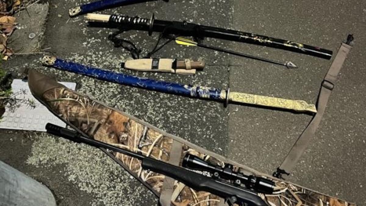 Palmerston North crash leads to discovery of weapons hidden in bushes, driver armed with crossbow