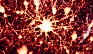 Scientists Found 2 Existing Drugs Could Reverse Alzheimer's Brain Damage in Mice : ScienceAlert