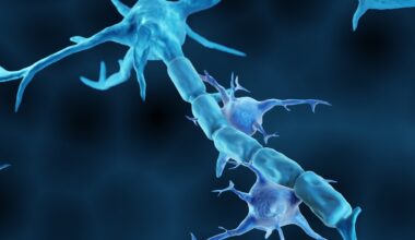 A hidden immune pathway may help explain why Alzheimer’s inflammation persists