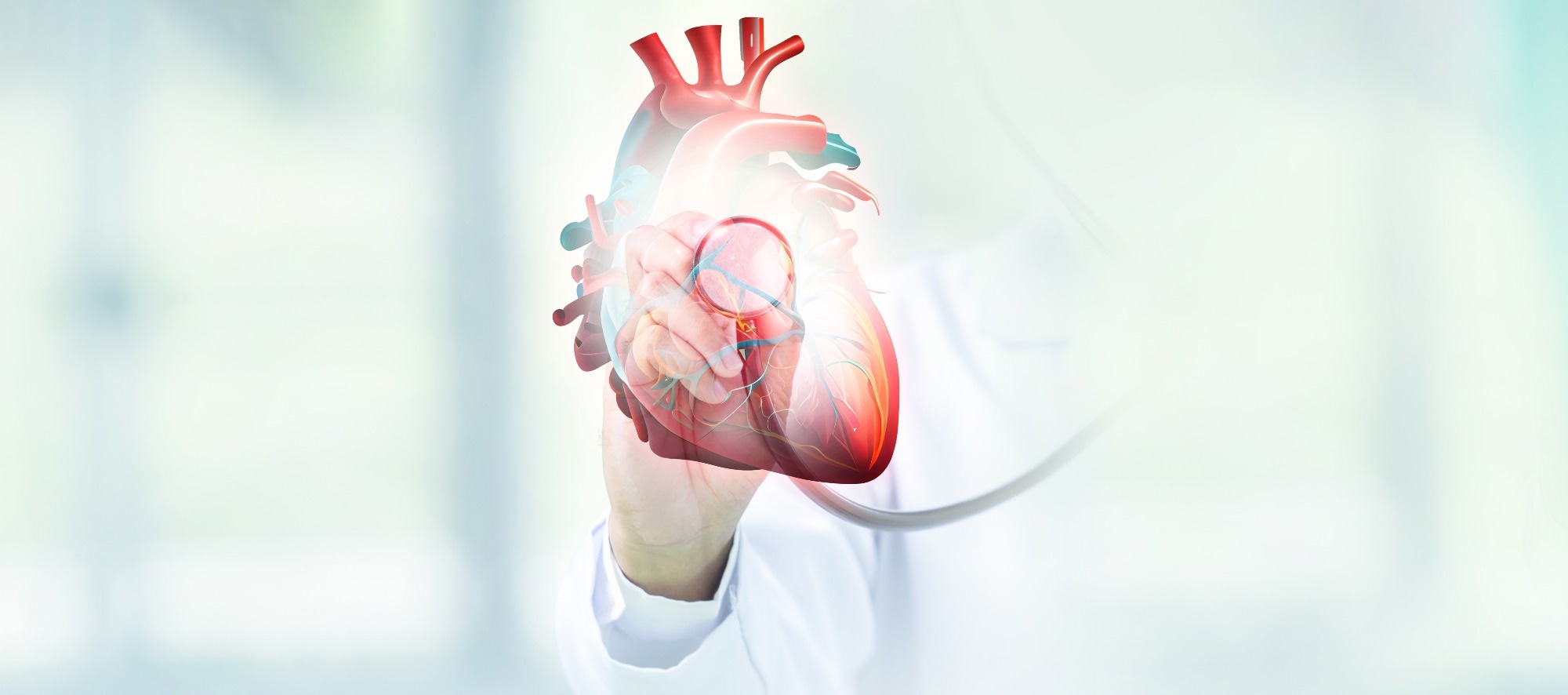 Study: Life-span–dependent transcriptional dynamics of the human heart. Image Credit: Vishal Bhaskar Nagtilak / Shutterstock
