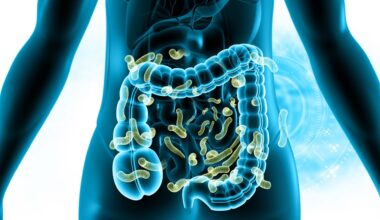 Review: Beyond estrobolome 1.0: unraveling endocrine-microbiome axis as a driver and therapeutic target in hormone-driven cancers. Image Credit: Explode / Shutterstock