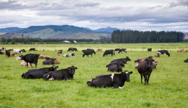 Why New Zealand exporters need not fear China’s focus on growing domestic food security
